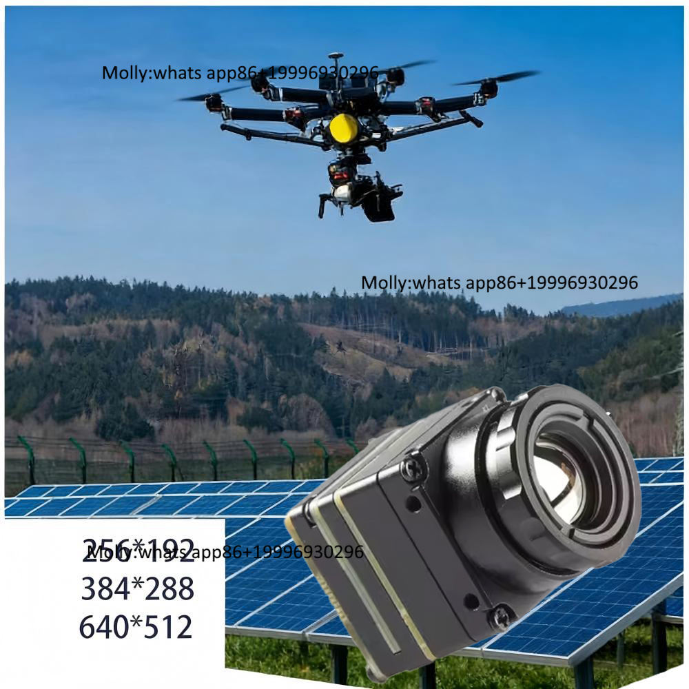 Mini FPV Thermal Camera Module - đánh giá và giá Thermal Camera Type C 384X288